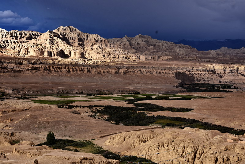 dsc_6521.jpg