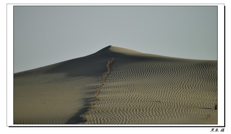 ɳĮ1 (8)_Ŀѹ.jpg