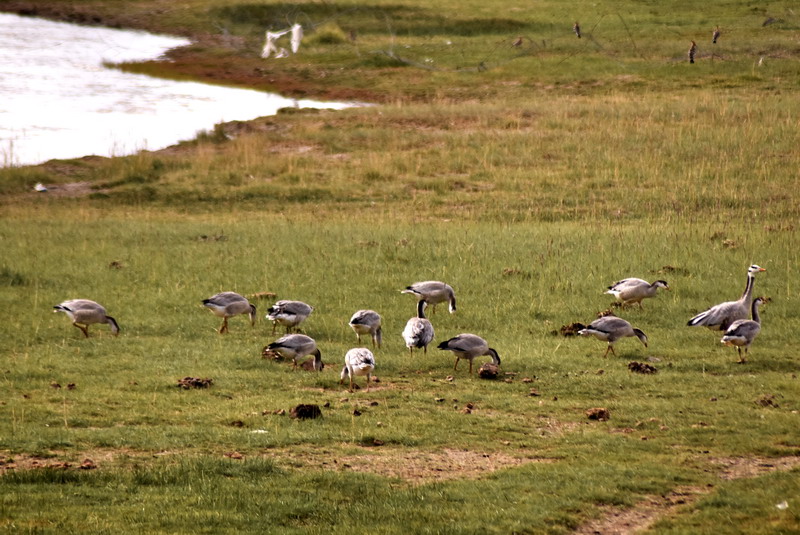 dsc_6847.jpg