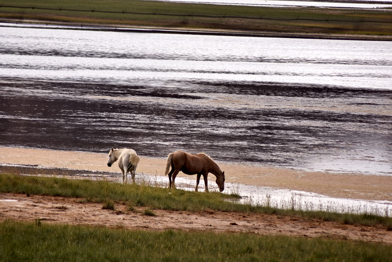 dsc_6853.jpg