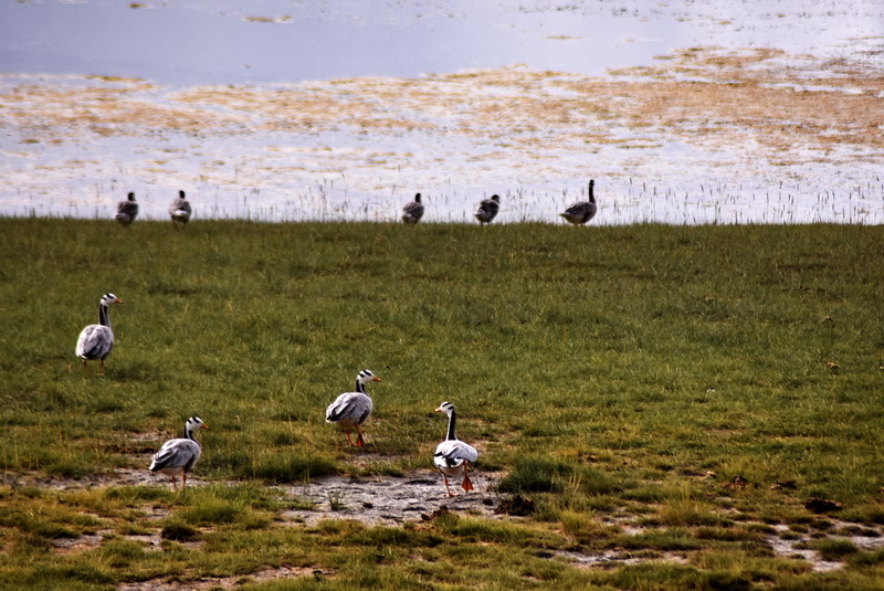 dsc_6844.jpg