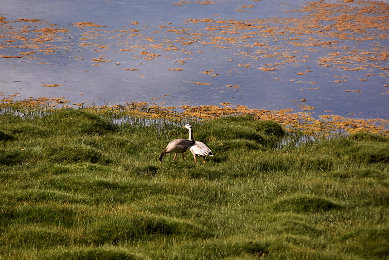 dsc_6866.jpg