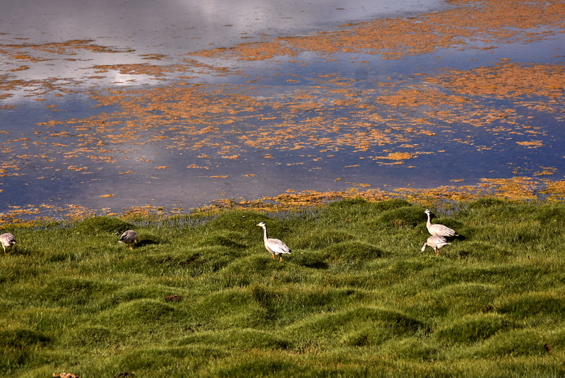 dsc_6871.jpg