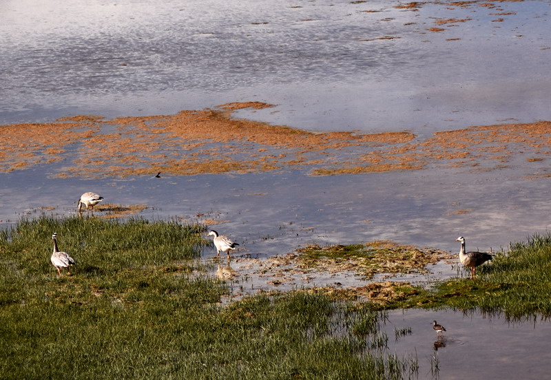 dsc_6875.jpg