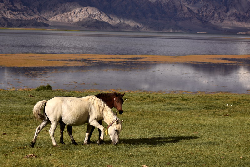dsc_6904.jpg