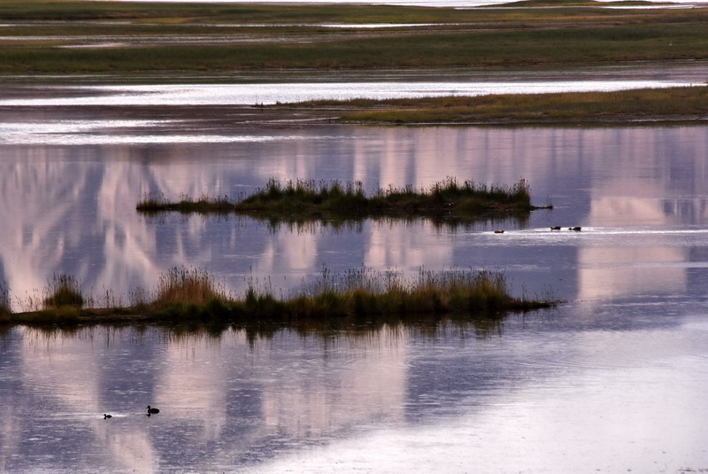 dsc_6926.jpg