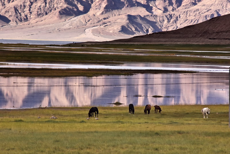 dsc_6946.jpg