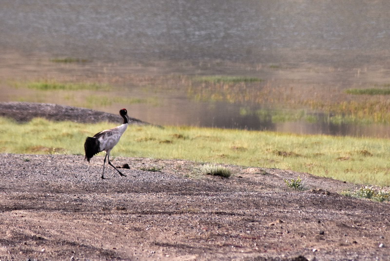 dsc_6979.jpg