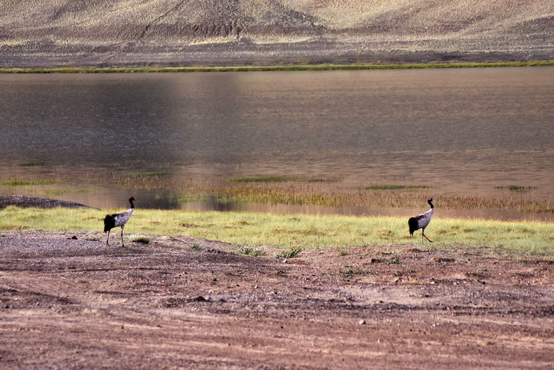 dsc_6981.jpg