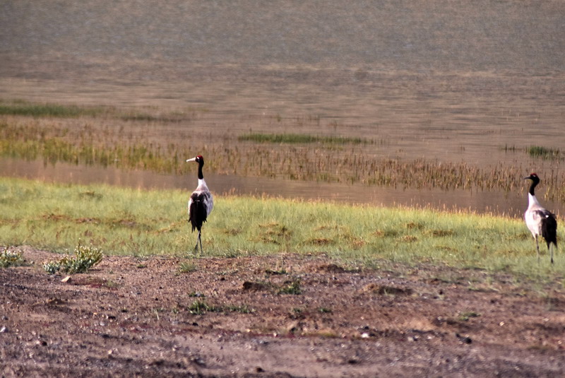 dsc_6984.jpg