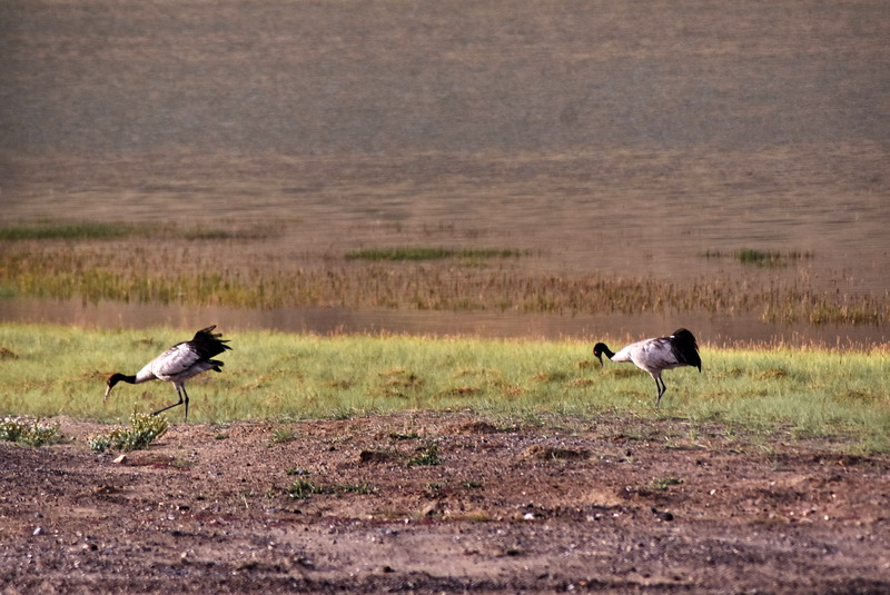 dsc_6987.jpg