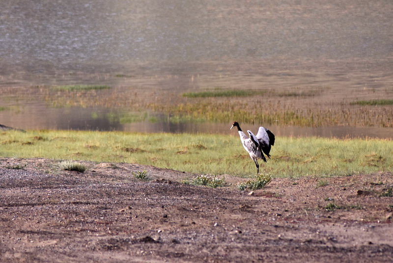 dsc_6988.jpg