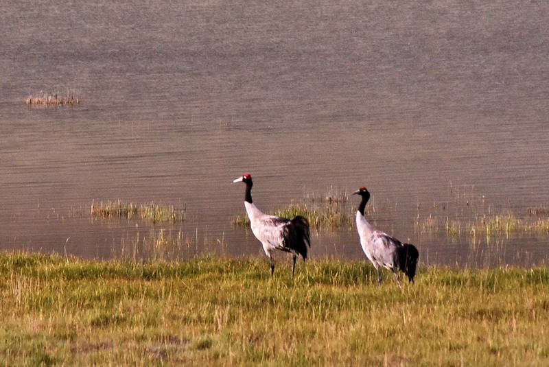 dsc_6997.jpg