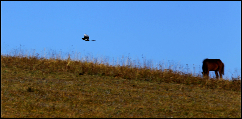 img_7958__.jpg
