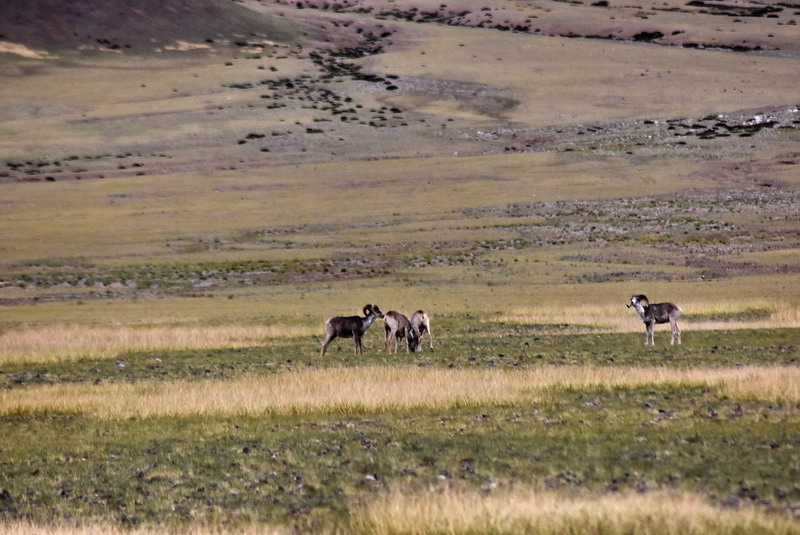 dsc_7019.jpg