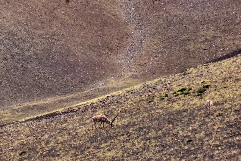 dsc_7038.jpg