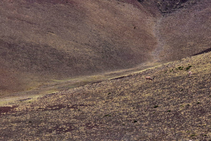 dsc_7041.jpg