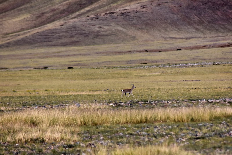 dsc_7022.jpg