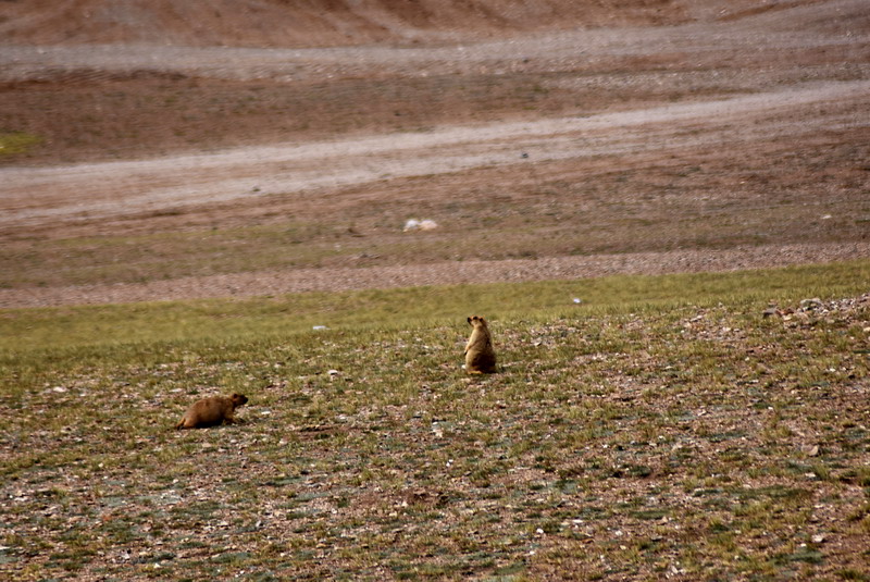 dsc_7059.jpg