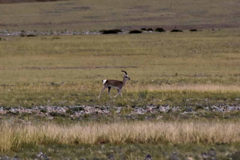 dsc_7023.jpg