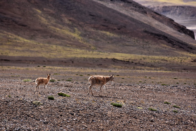 dsc_7098.jpg