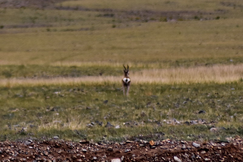 dsc_7027.jpg