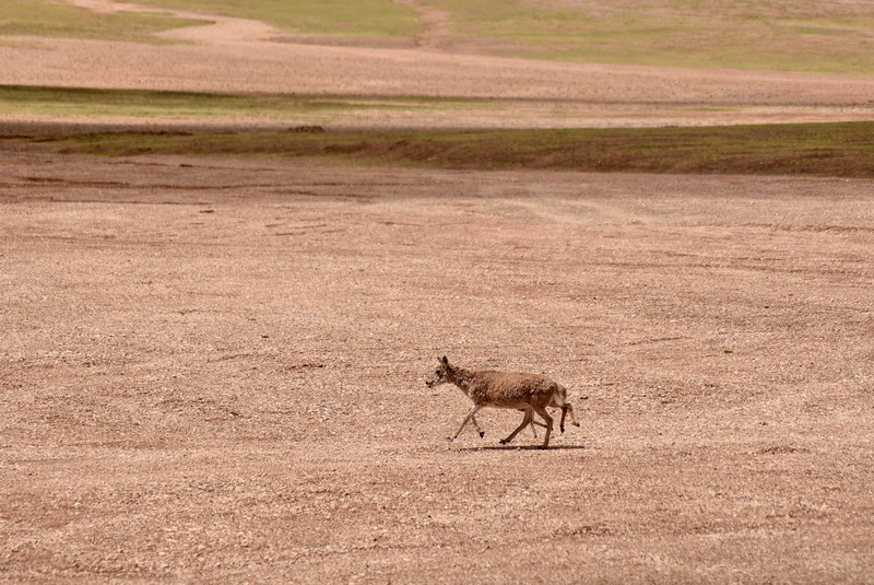 dsc_7124.jpg
