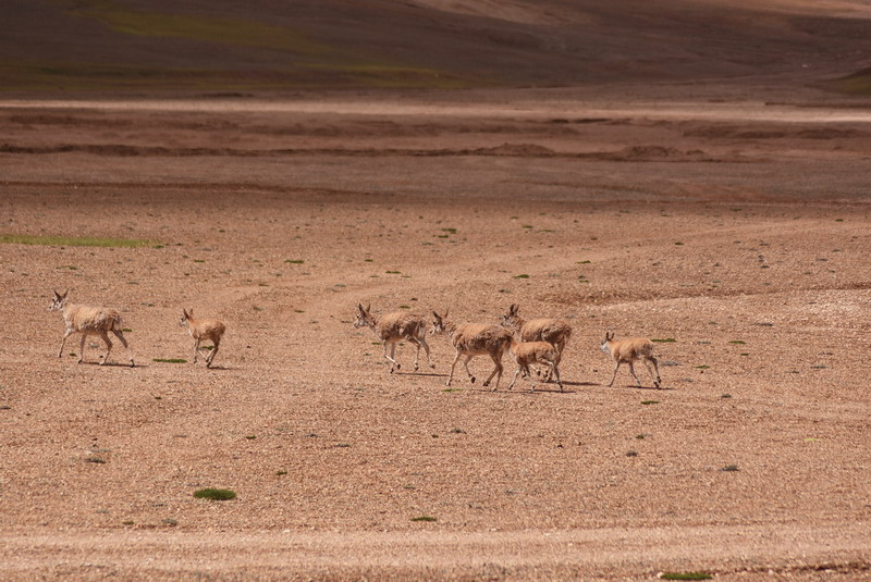 dsc_7125.jpg