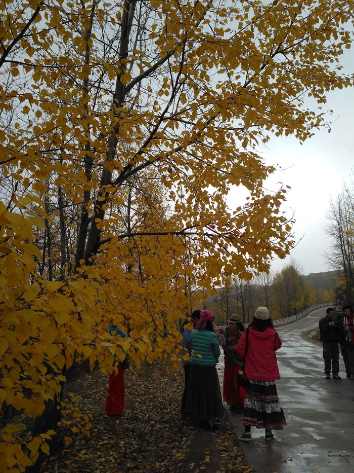 img_20161015_095521_.jpg
