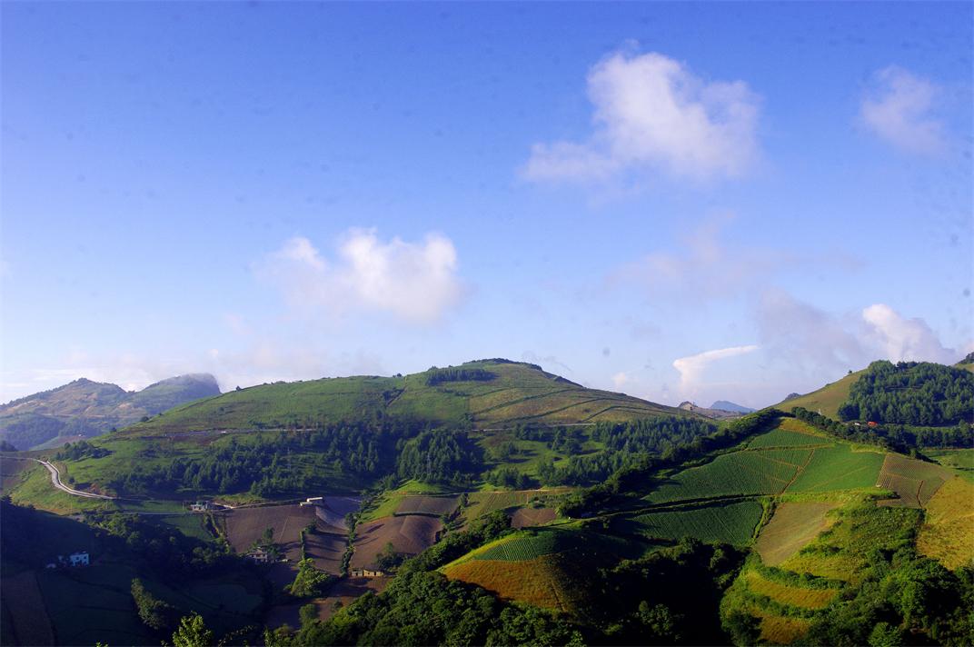 _igp7734.jpg