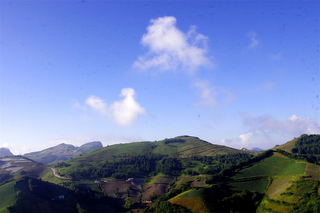 _igp7735.jpg