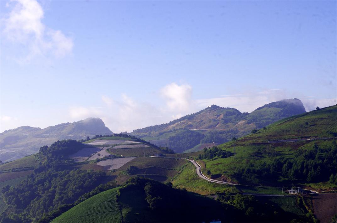 _igp7736.jpg