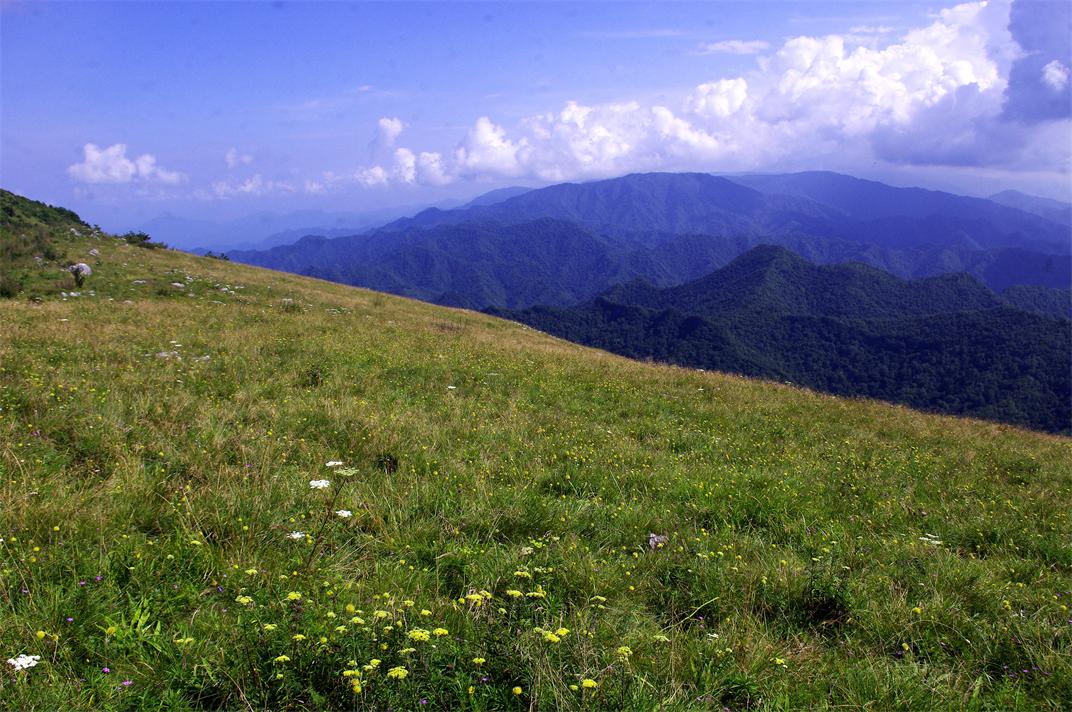 _igp5751.jpg