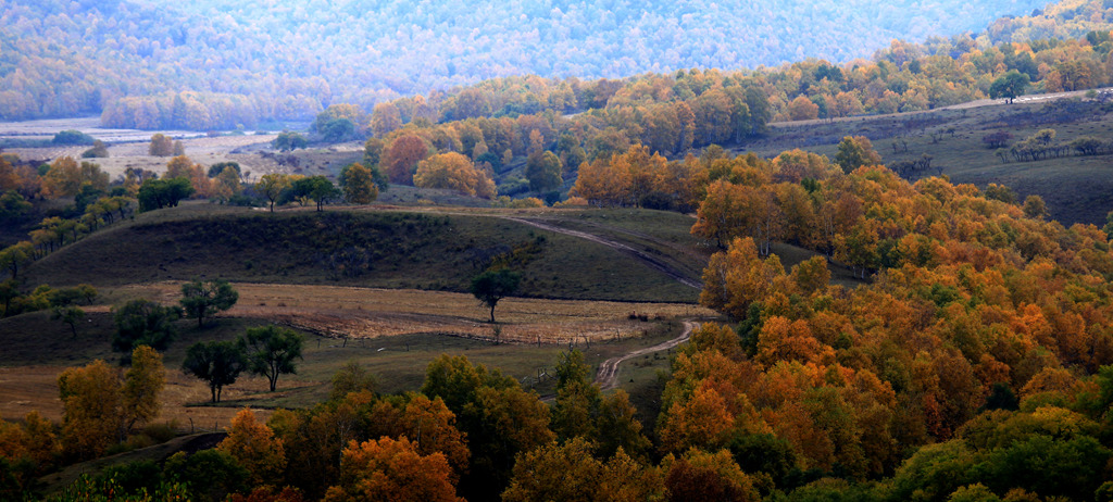 img_8572__.jpg