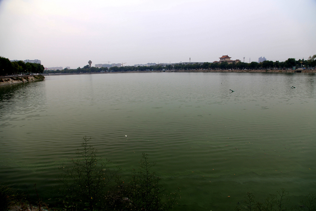 img_8676__.jpg