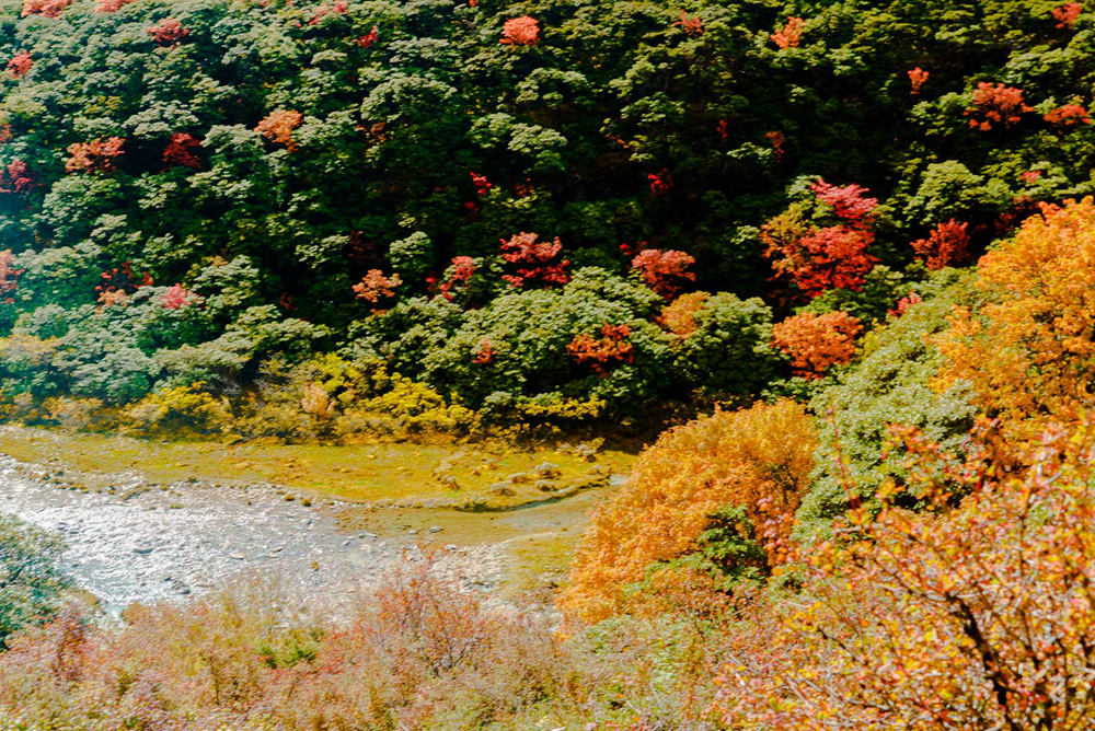 dsc06066_1.jpg