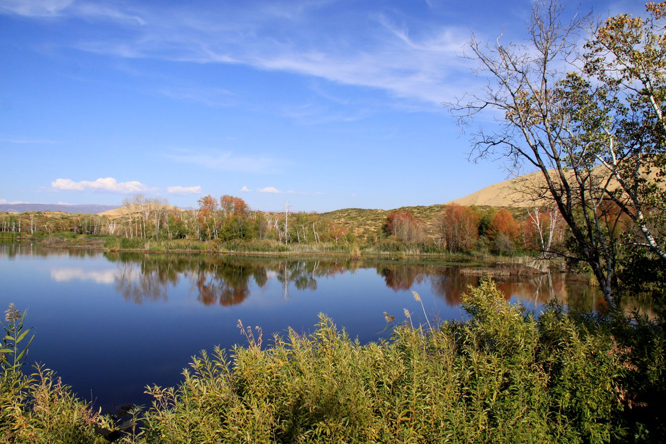  605.jpg