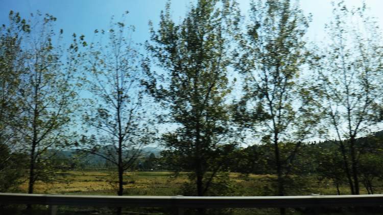 ڳ002.jpg