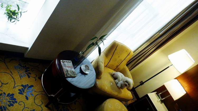ڳ008.jpg