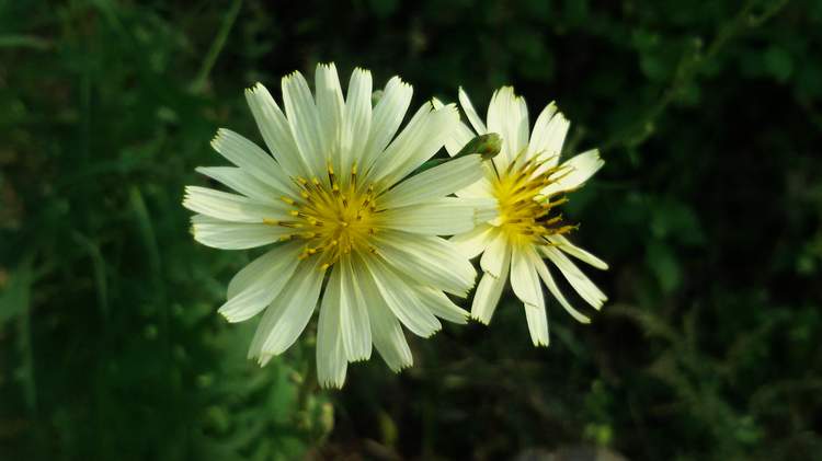 ڳ014.jpg