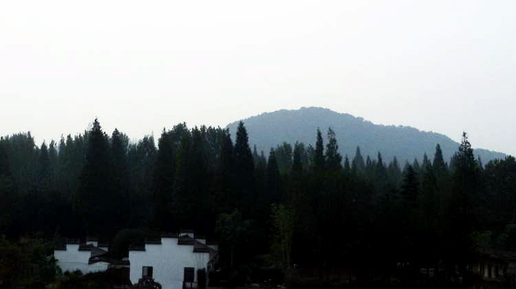 ڳ016.jpg