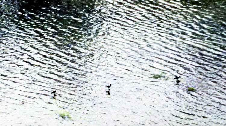 ڳ017.jpg