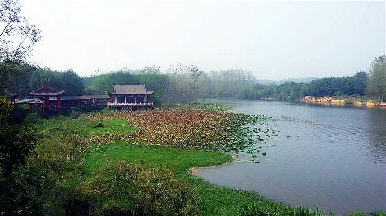 ڳ018.jpg