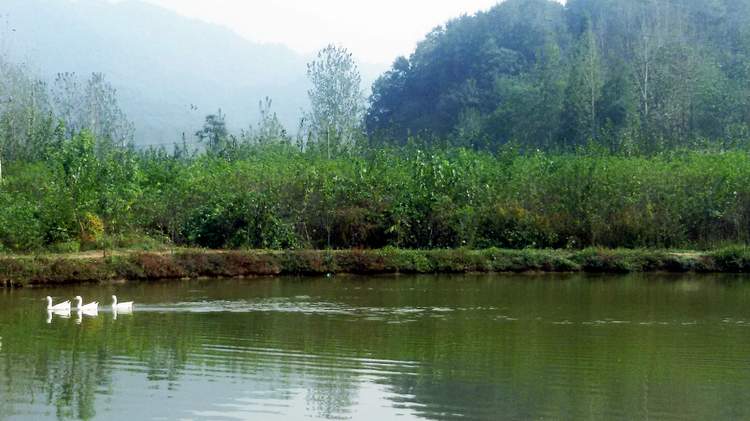 ڳ020.jpg