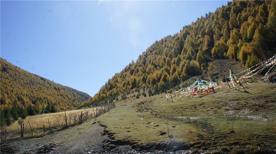 dsc05014_副本.jpg