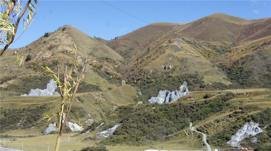 dsc04990_副本.jpg