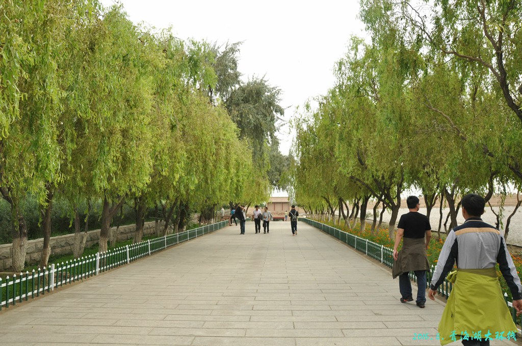 青诲湖环线286.jpg