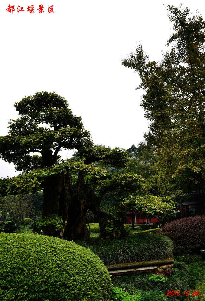 dsc_2897.jpg