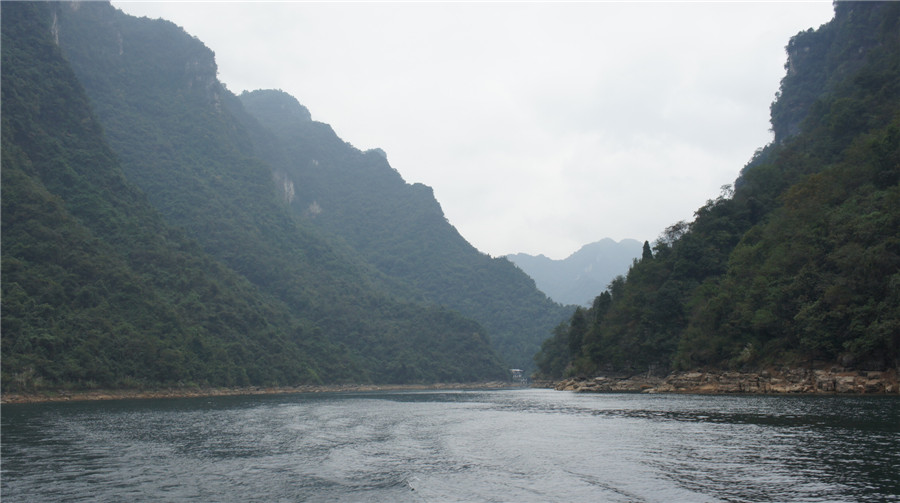 dsc03341_.jpg