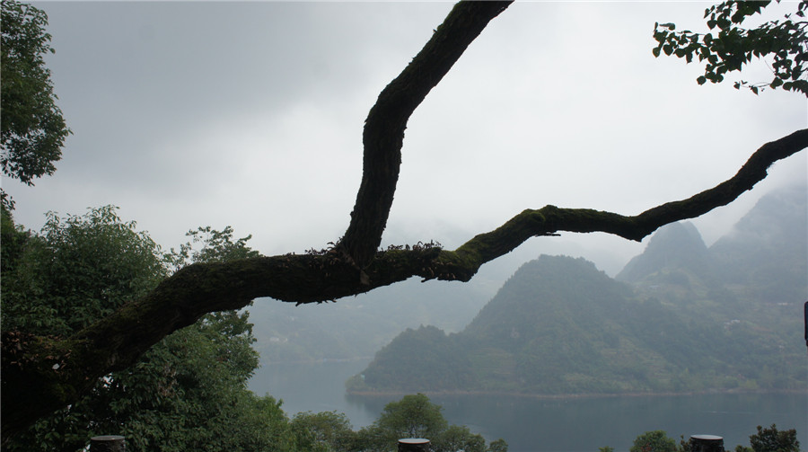 dsc03350_.jpg